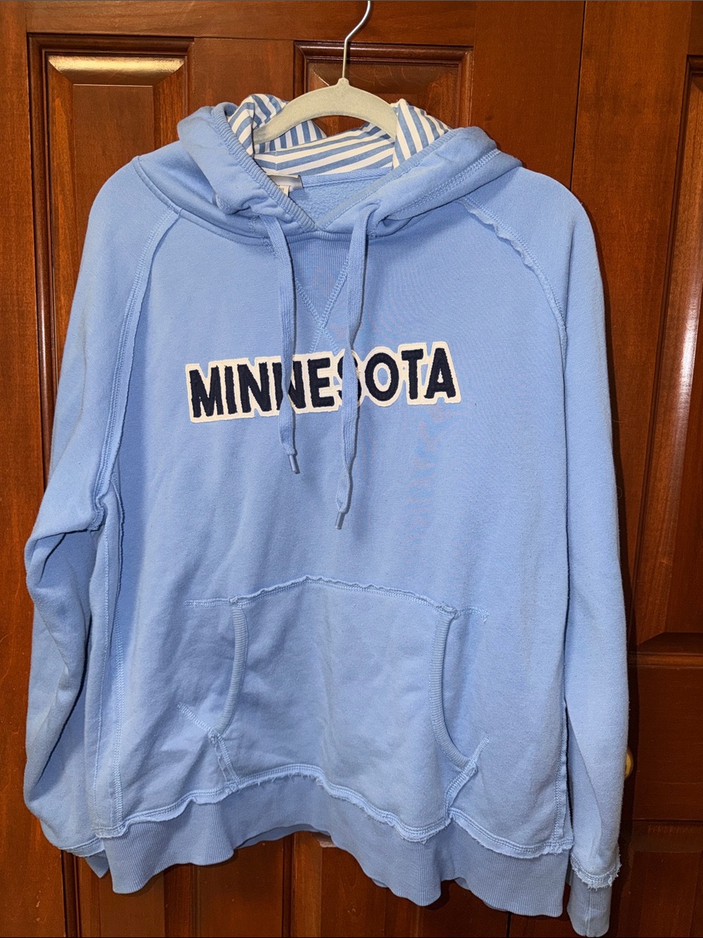 Wild Palms Minnesota Light Blue Hooded Sweatshirt
